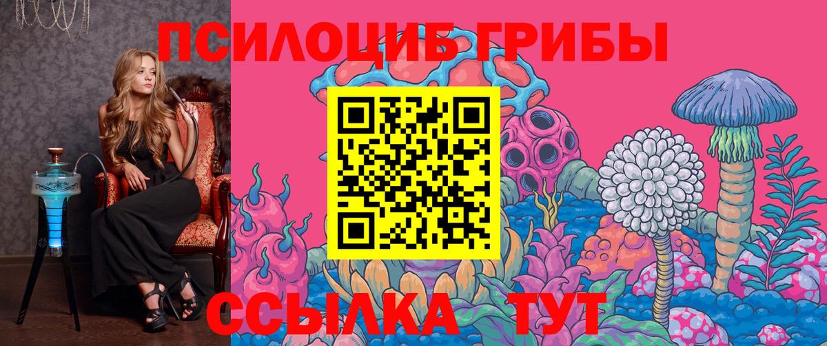 Галлюциногенные грибы Psilocybe Новороссийск